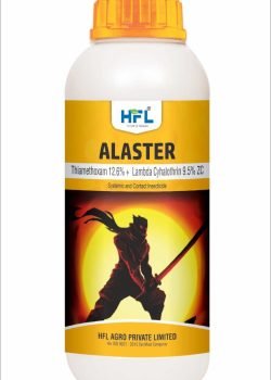 alaster