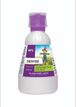 denver