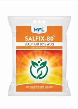 salfix-80